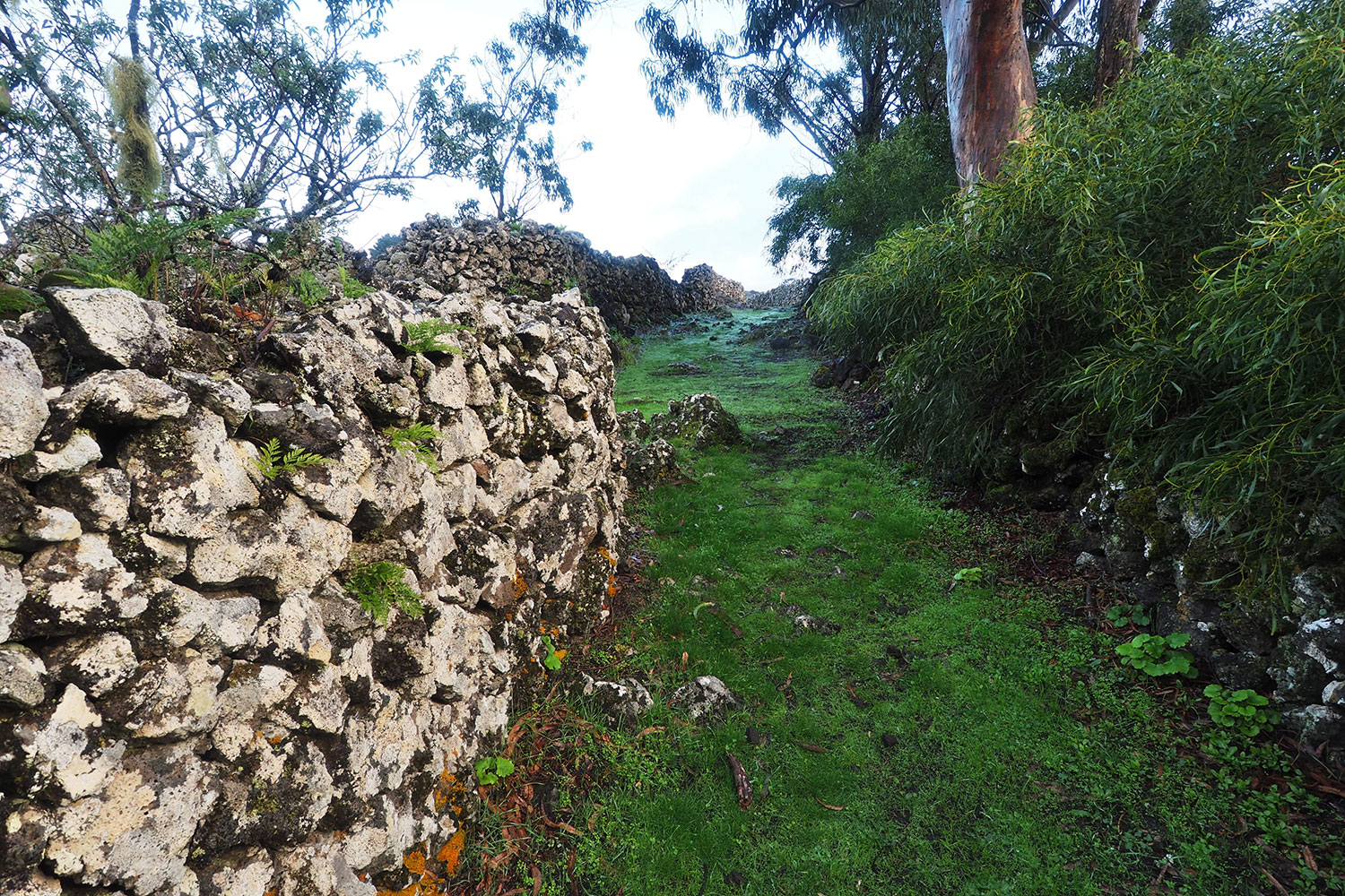 Weg im Ruinendorf La Albarrada . El Hierro . Kanarische Inseln 2018 (Foto: Andreas Kuhrt)