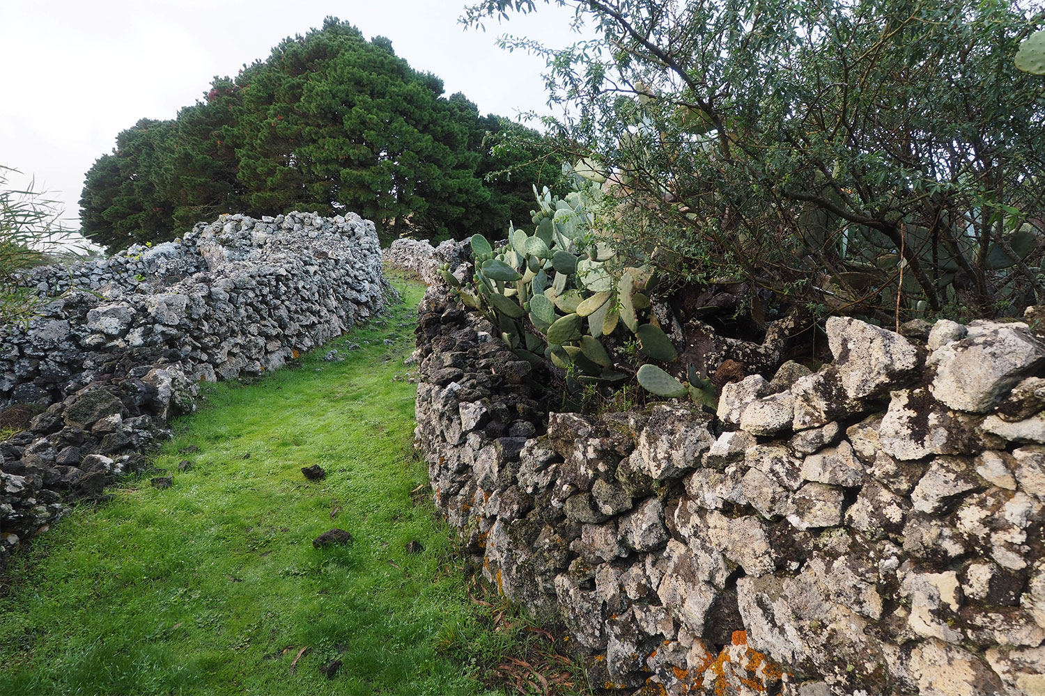 Weg im Ruinendorf La Albarrada . El Hierro . Kanarische Inseln 2018 (Foto: Andreas Kuhrt)