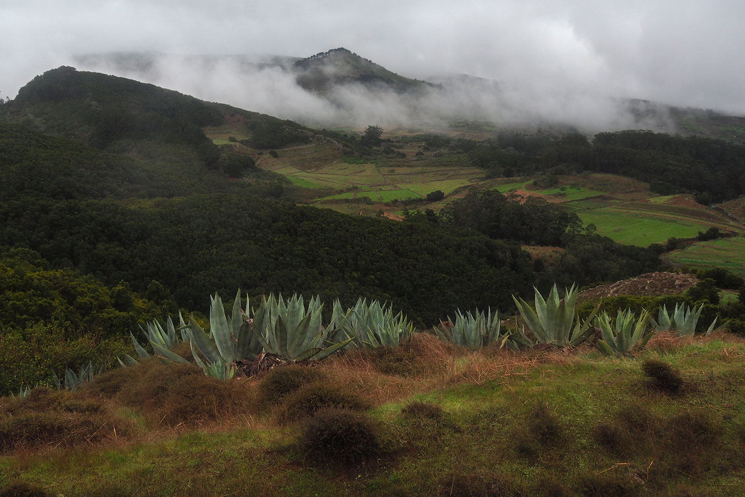 Ausblick vom PR-EH 7 auf die Meseta de Nisdafe . El Hierro . Kanarische Inseln 2018 (Foto: Andreas Kuhrt)