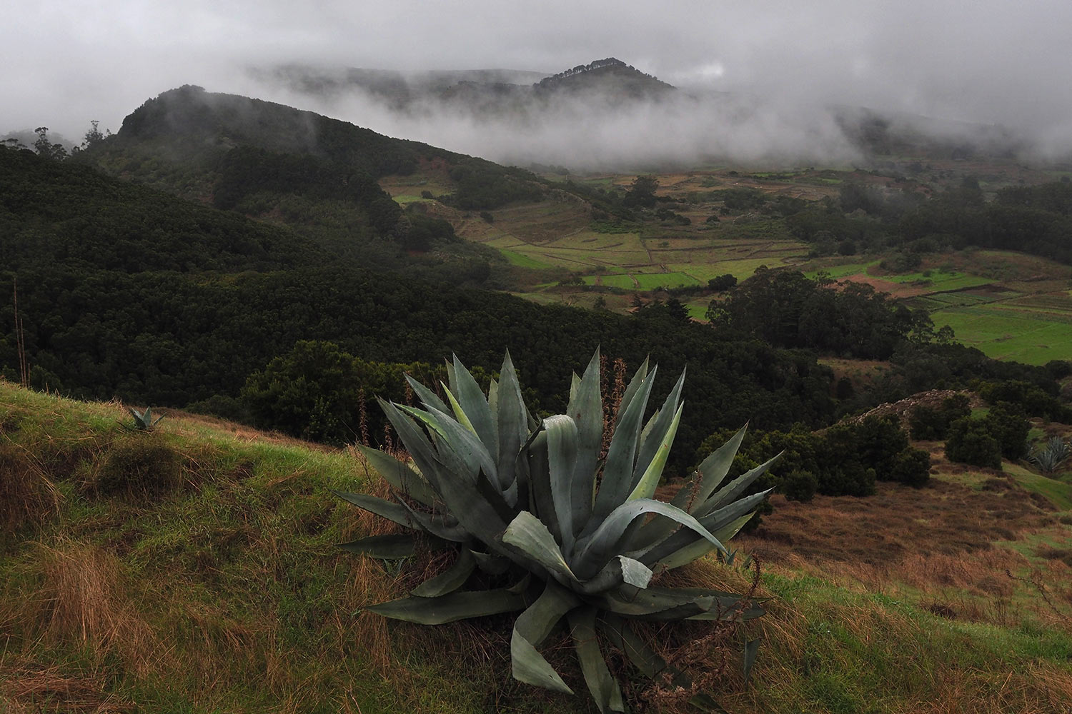 Ausblick vom PR-EH 7 auf die Meseta de Nisdafe . El Hierro . Kanarische Inseln 2018 (Foto: Andreas Kuhrt)