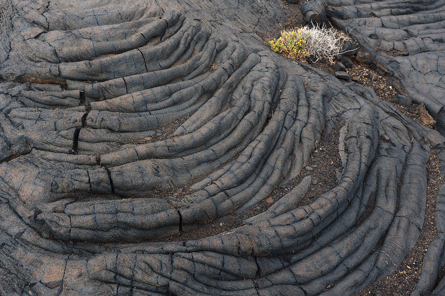 Lava bei La Restinga . El Hierro . Kanarische Inseln 2018 (Foto: Andreas Kuhrt)