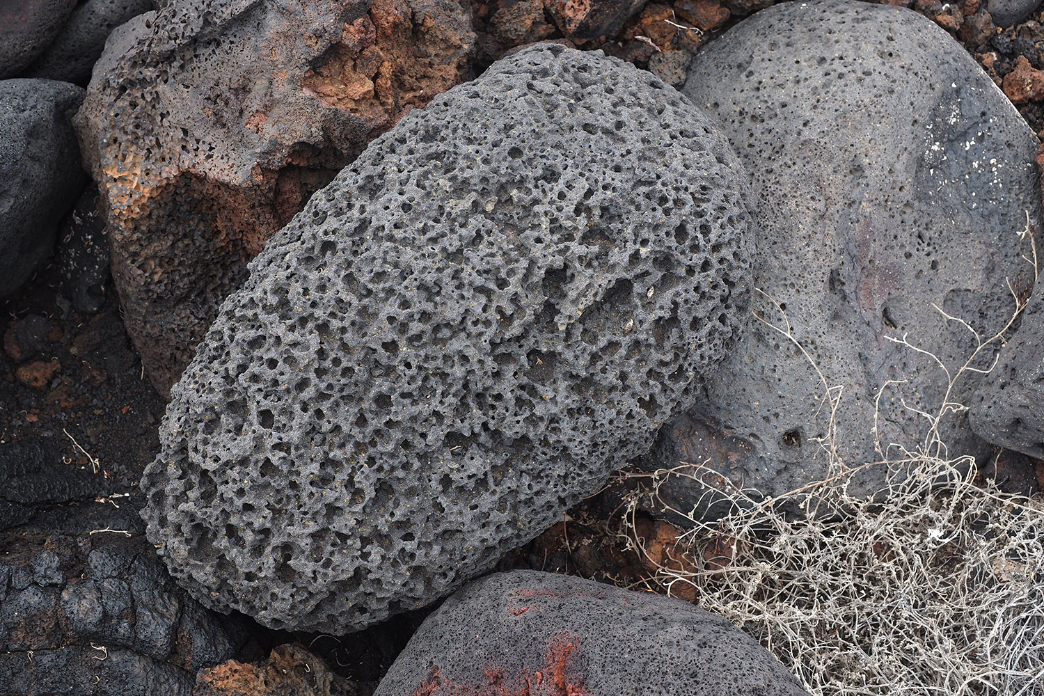 Lavastein bei La Restinga . El Hierro . Kanarische Inseln 2018 (Foto: Andreas Kuhrt)