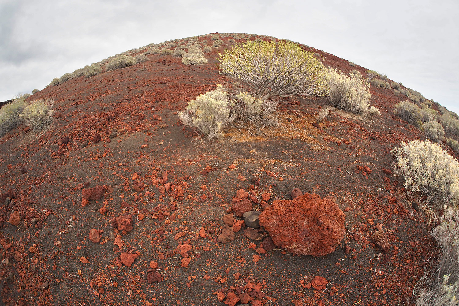 Roter Vulkankegel bei La Restinga . El Hierro . Kanarische Inseln 2018 (Foto: Andreas Kuhrt)