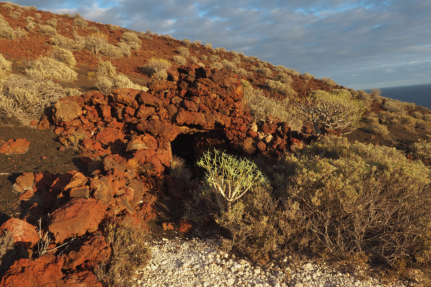 Lavagruft in Vulkanlandschaft bei La Restinga . El Hierro . Kanarische Inseln 2018 (Foto: Andreas Kuhrt)