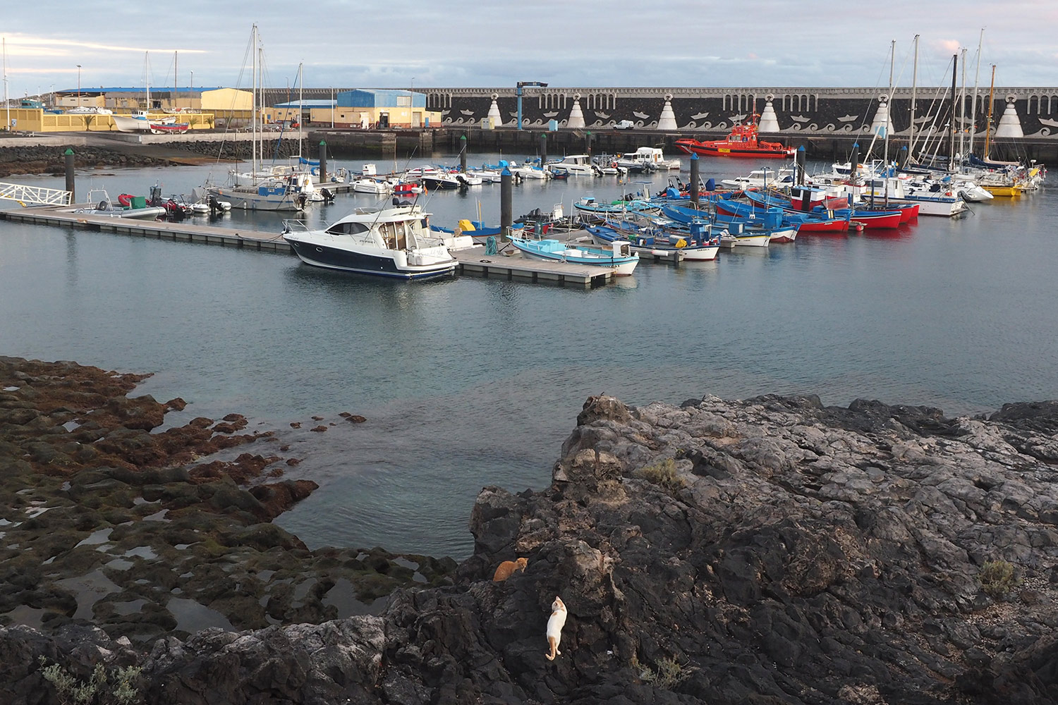 Hafen von La Restinga . El Hierro . Kanarische Inseln 2018 (Foto: Andreas Kuhrt)