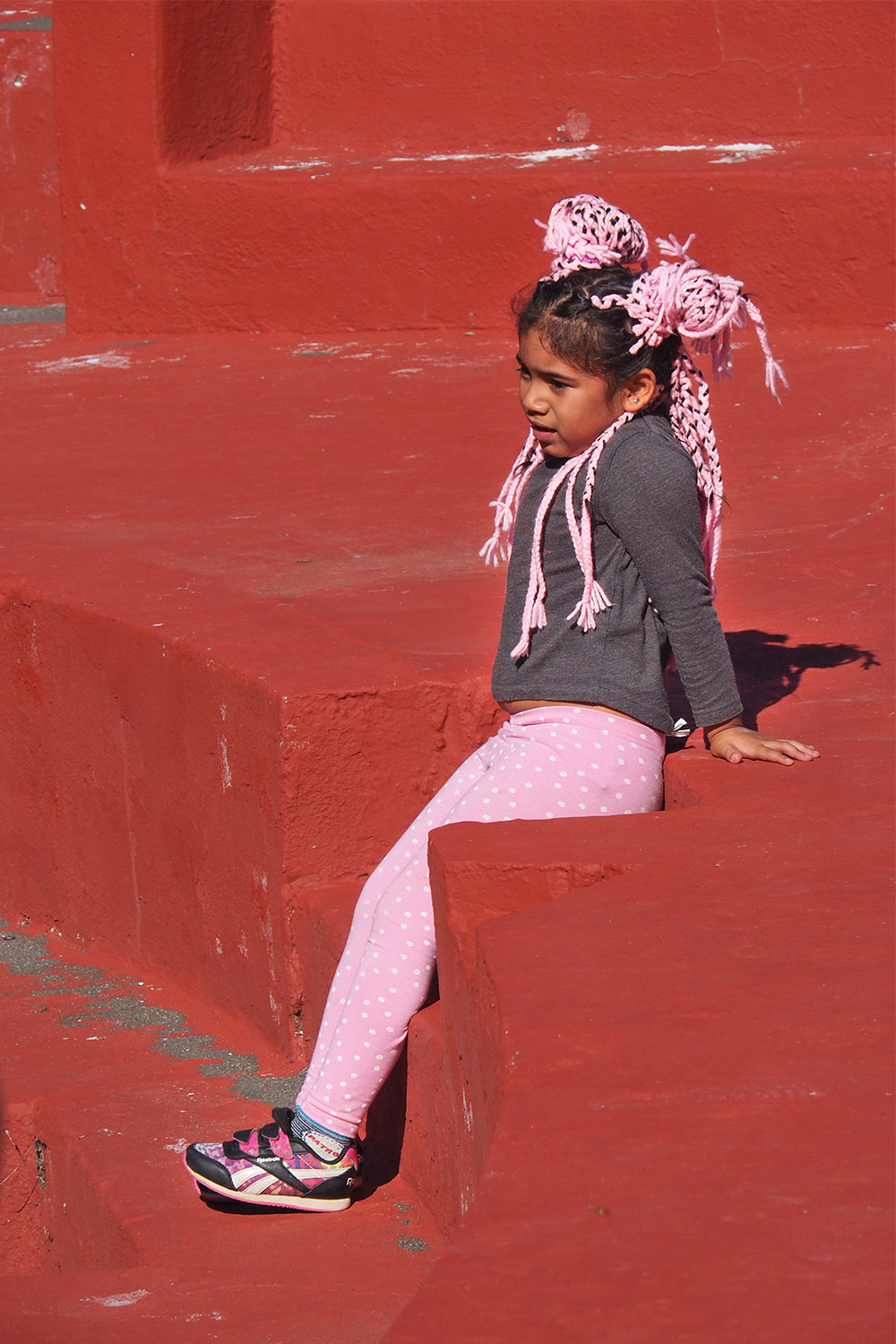 Der rosarote Panther . Lucha-Canaria-Arena in La Frontera . El Hierro . Kanarische Inseln 2018 (Foto: Andreas Kuhrt)