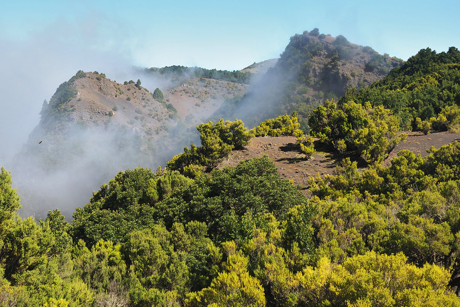 2018-11-kanarische-inseln-M0005196ak-el-hierro-fireba Cumbre: Blick zur Hoya de Fireba . El Hierro . Kanarische Inseln 2018 (Foto: Andreas Kuhrt)