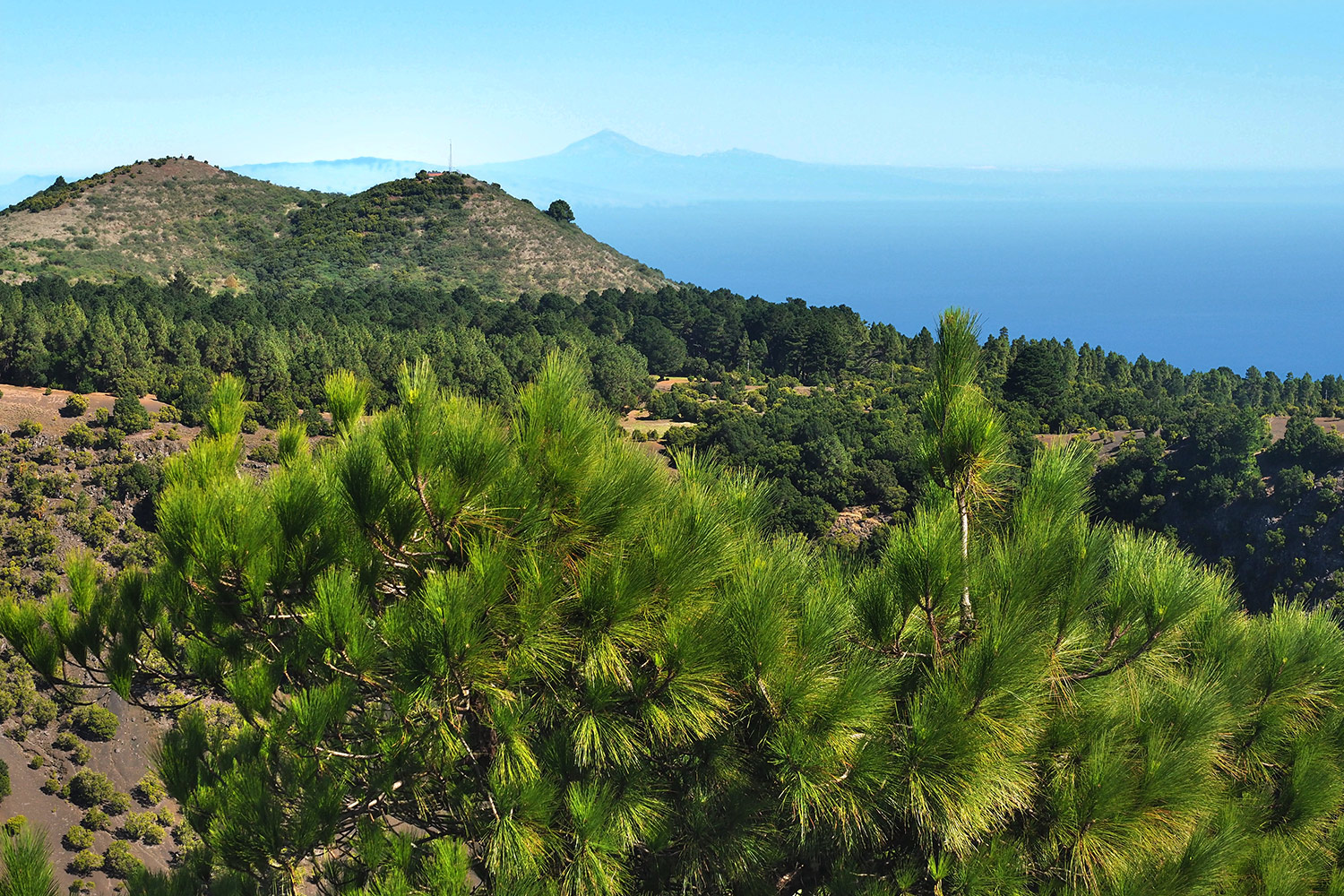 2018-11-kanarische-inseln-M0005217ak-el-hierro-fireba-ausblick Fireba: Blick nach Montaña de los Frailes, Teneriffa . El Hierro . Kanarische Inseln 2018 (Foto: Andreas Kuhrt)