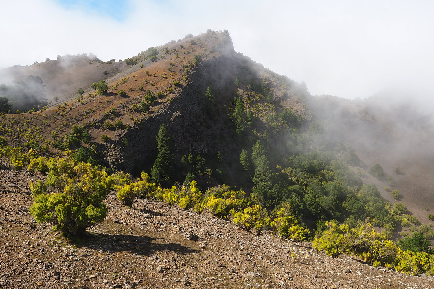 2018-11-kanarische-inseln-M0005231ak-el-hierro-fireba Fireba . El Hierro . Kanarische Inseln 2018 (Foto: Andreas Kuhrt)