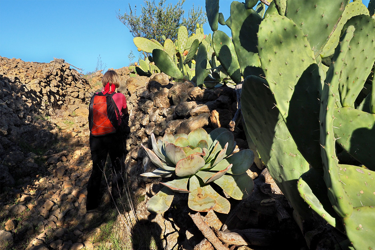 Feldweg bei Isora . El Hierro . Kanarische Inseln 2018 (Foto: Andreas Kuhrt)