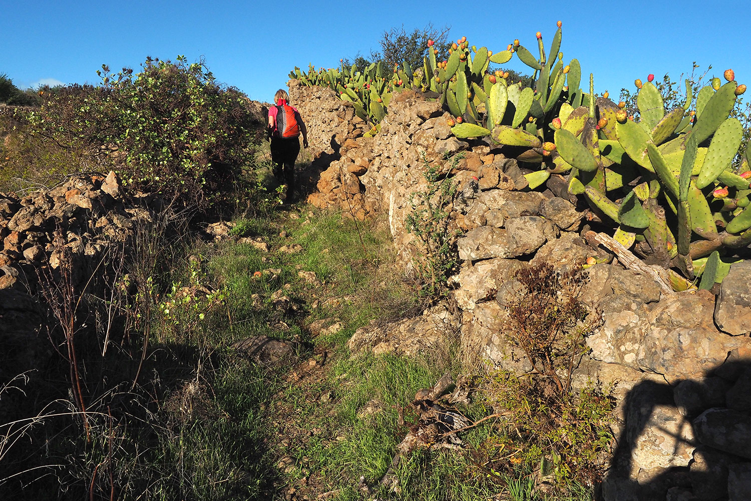 Feldweg bei Isora . El Hierro . Kanarische Inseln 2018 (Foto: Andreas Kuhrt)