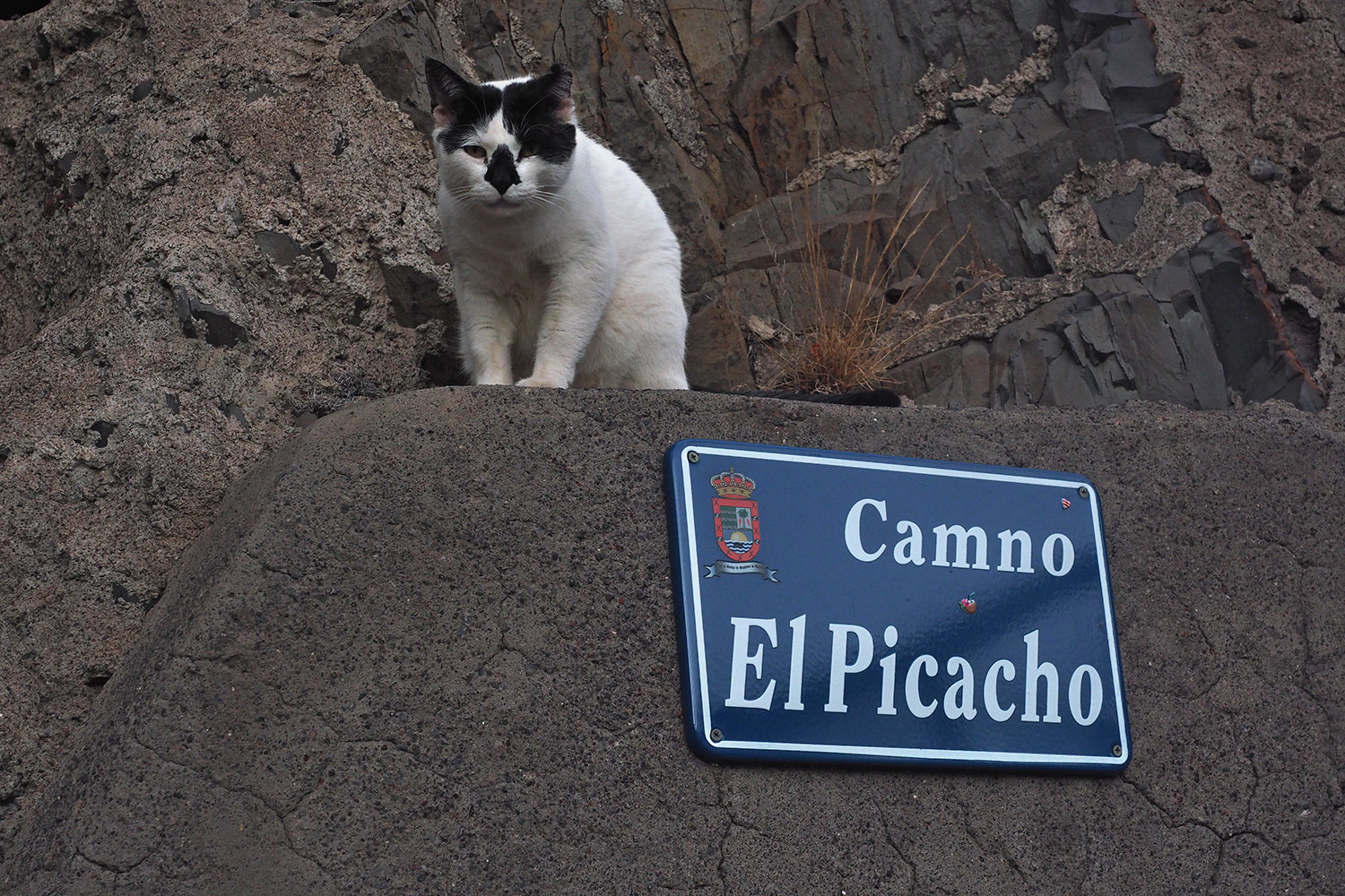 La Calera: Camino El Picacho . Valle Gran Rey . La Gomera . Kanarische Inseln 2018 (Foto: Andreas Kuhrt)