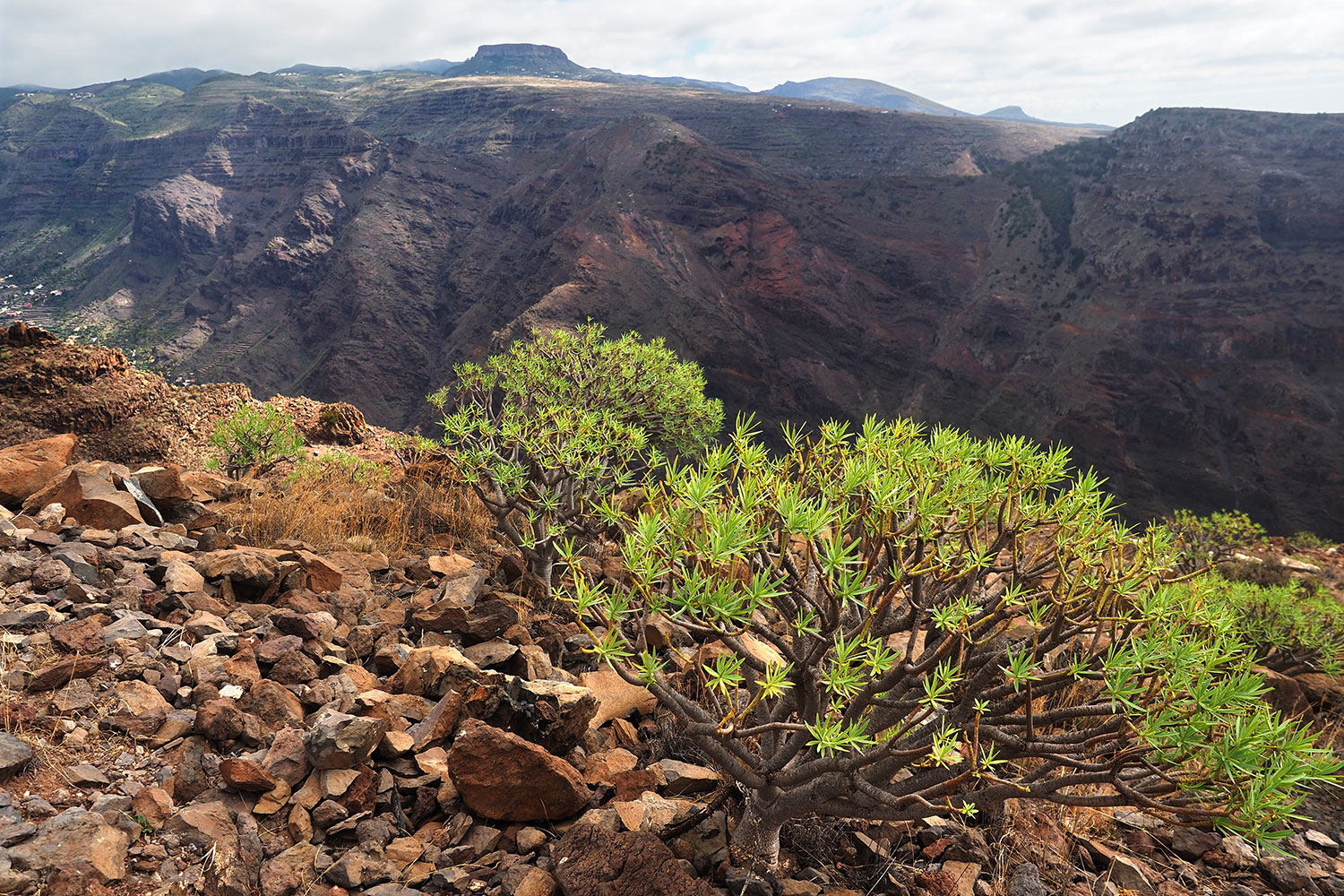 Camino la Mérica: Blick zur Fortaleza . Valle Gran Rey . La Gomera . Kanarische Inseln 2018 (Foto: Andreas Kuhrt)