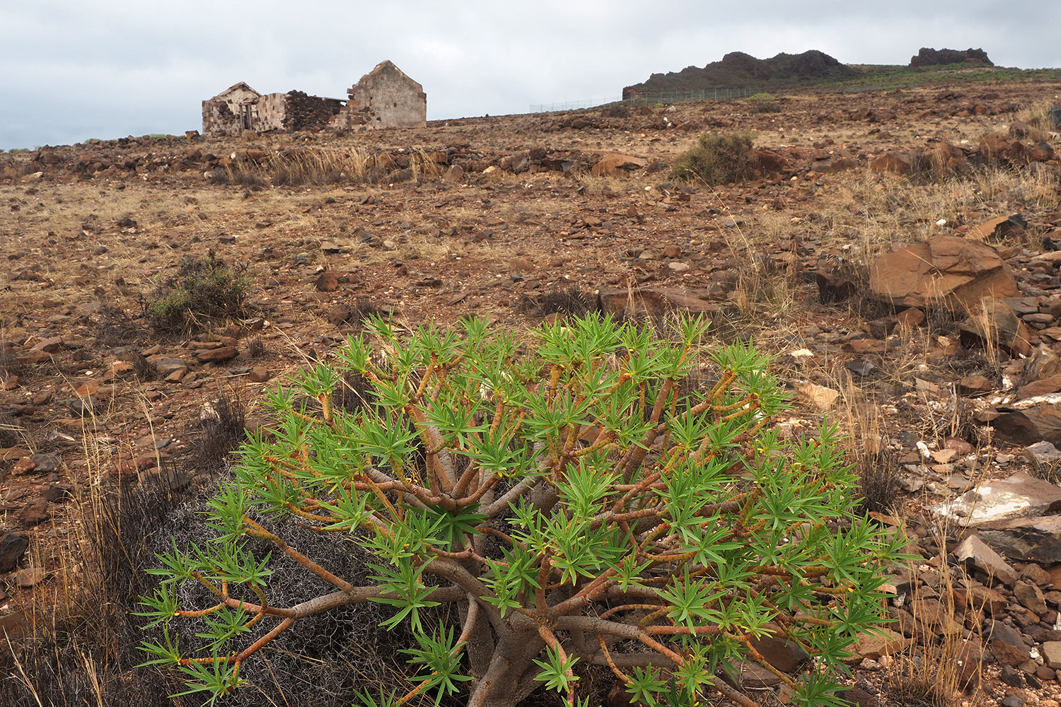 Ruine Casa la Mérica . Valle Gran Rey . La Gomera . Kanarische Inseln 2018 (Foto: Andreas Kuhrt)