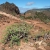 Camino la Mérica: Blick nach Arure . Valle Gran Rey . La Gomera . Kanarische Inseln 2018 (Foto: Andreas Kuhrt)