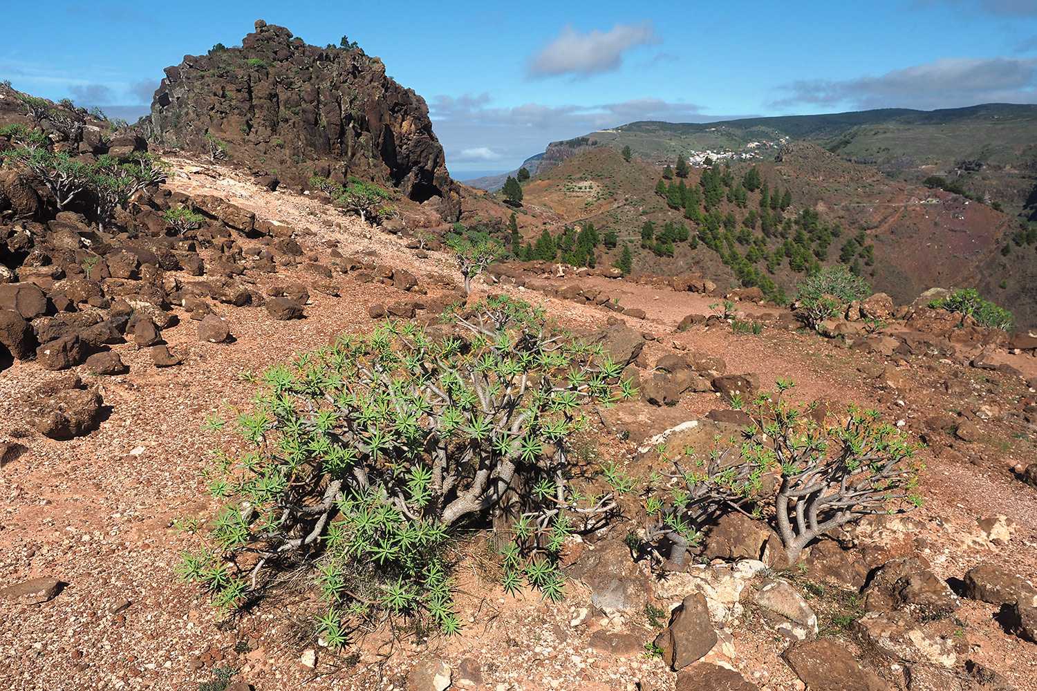 Camino la Mérica: Blick nach Arure . Valle Gran Rey . La Gomera . Kanarische Inseln 2018 (Foto: Andreas Kuhrt)