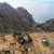 Camino la Mérica: Ziegengehege . Valle Gran Rey . La Gomera . Kanarische Inseln 2018 (Foto: Andreas Kuhrt)