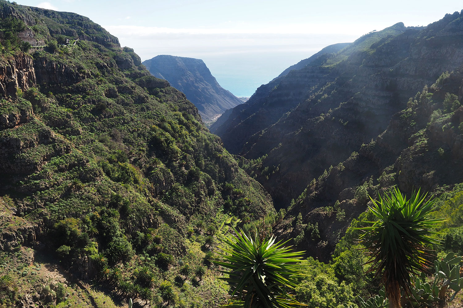 Barranco de Arure . Valle Gran Rey . La Gomera . Kanarische Inseln 2018 (Foto: Andreas Kuhrt)