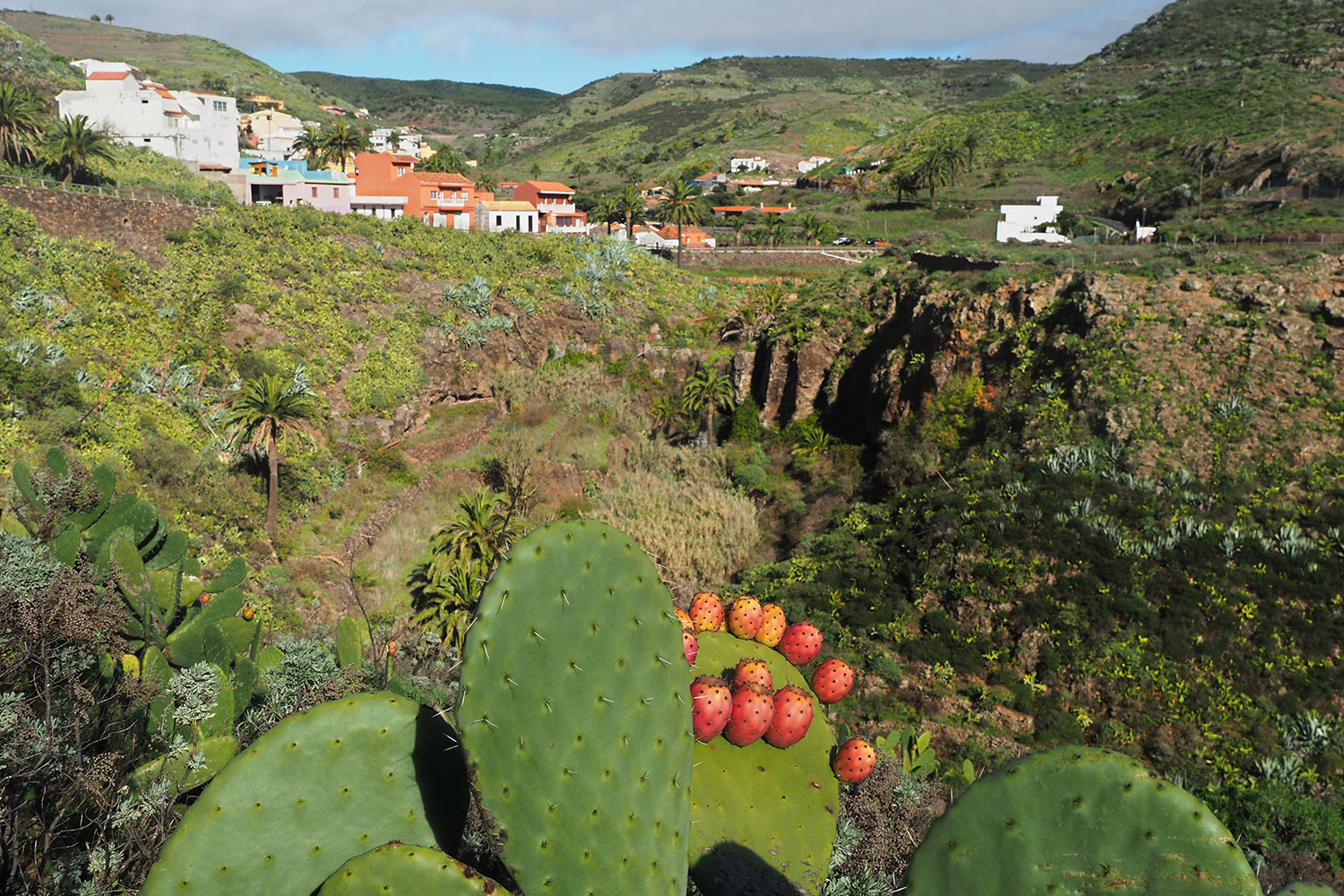 Barranco de Arure . Valle Gran Rey . La Gomera . Kanarische Inseln 2018 (Foto: Andreas Kuhrt)