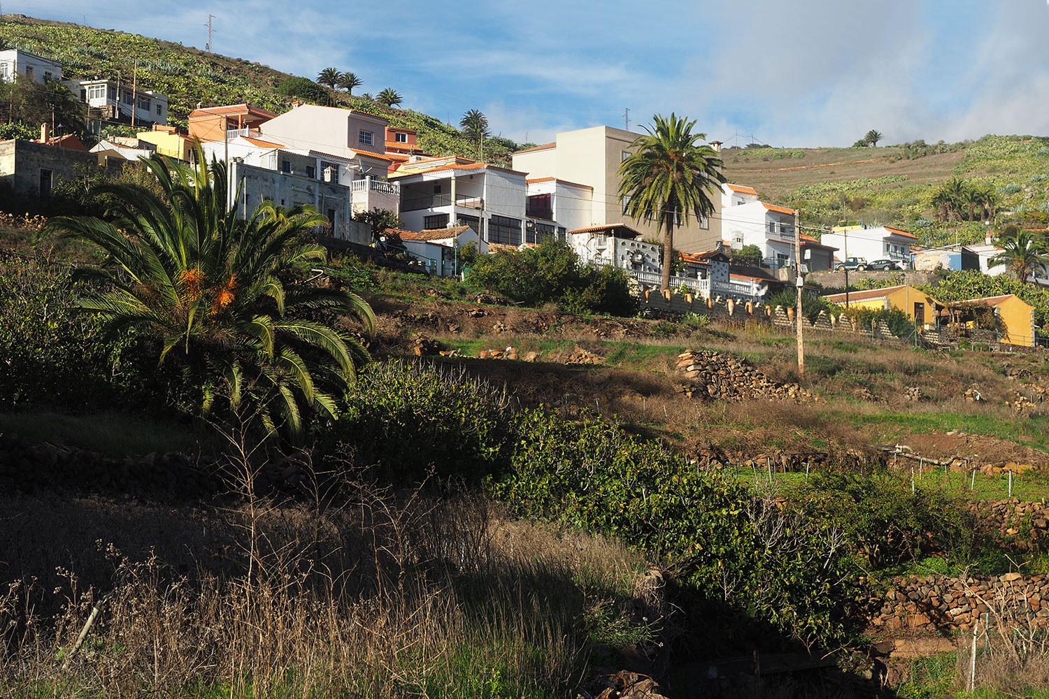 Arure . Valle Gran Rey . La Gomera . Kanarische Inseln 2018 (Foto: Andreas Kuhrt)