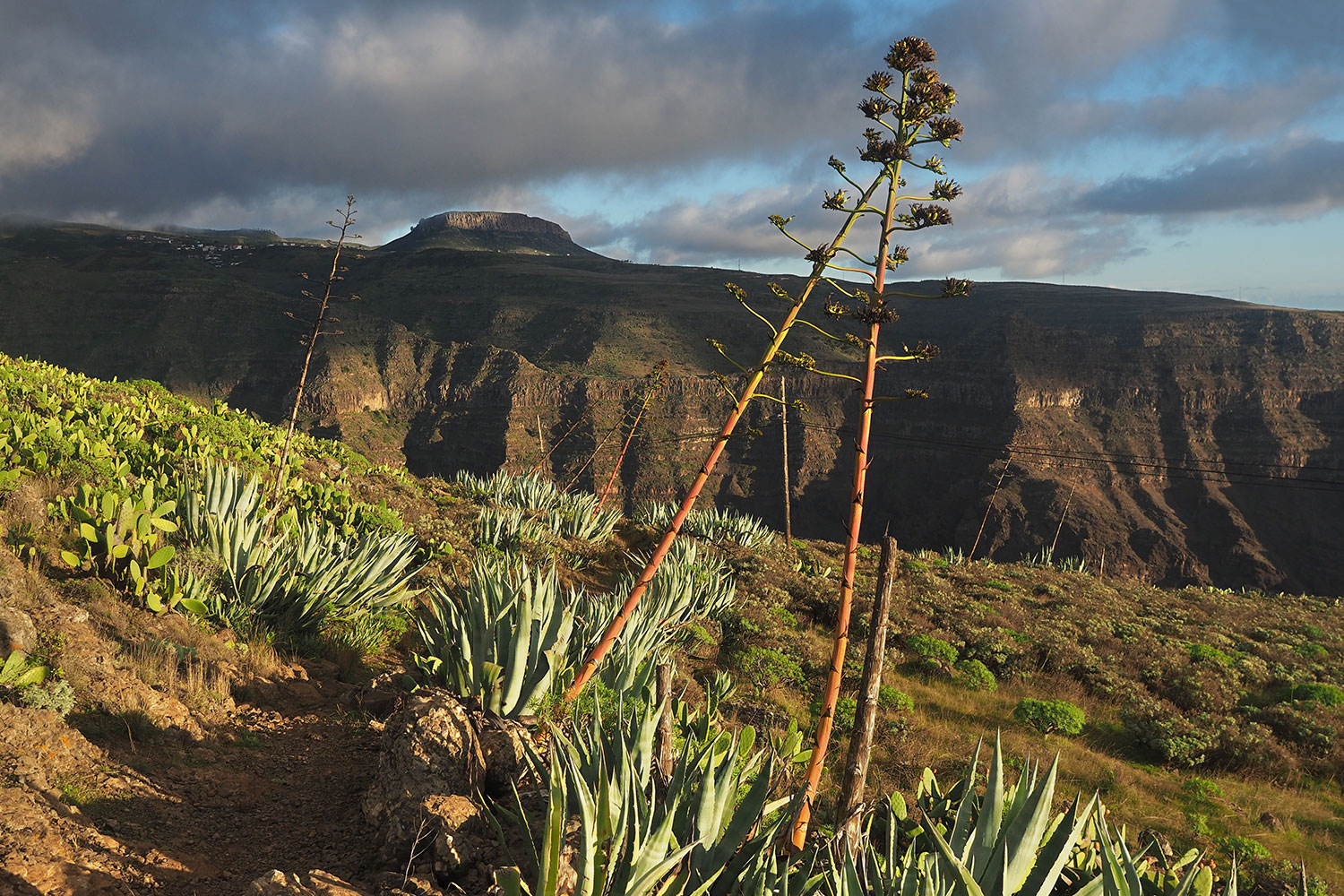 Camino de Yorima: Blick zur Fortaleza . Valle Gran Rey . La Gomera . Kanarische Inseln 2018 (Foto: Andreas Kuhrt)