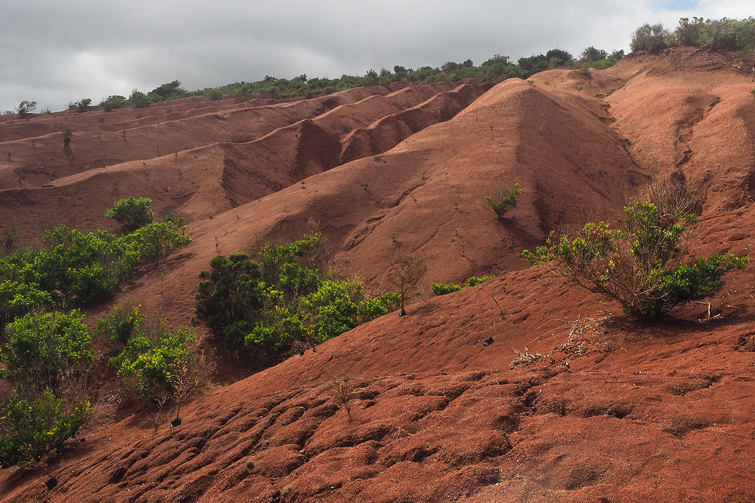 Erosionslandschaft Cañada Grande . La Gomera . Kanarische Inseln 2018 (Foto: Andreas Kuhrt)