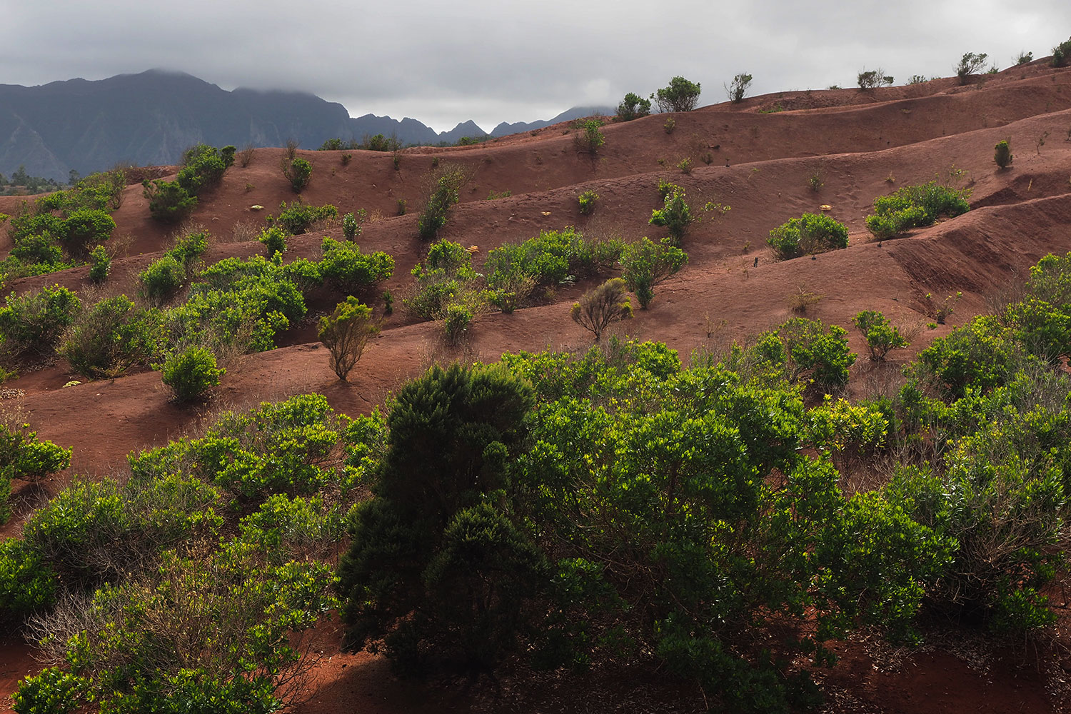 Erosionslandschaft Cañada Grande . La Gomera . Kanarische Inseln 2018 (Foto: Andreas Kuhrt)