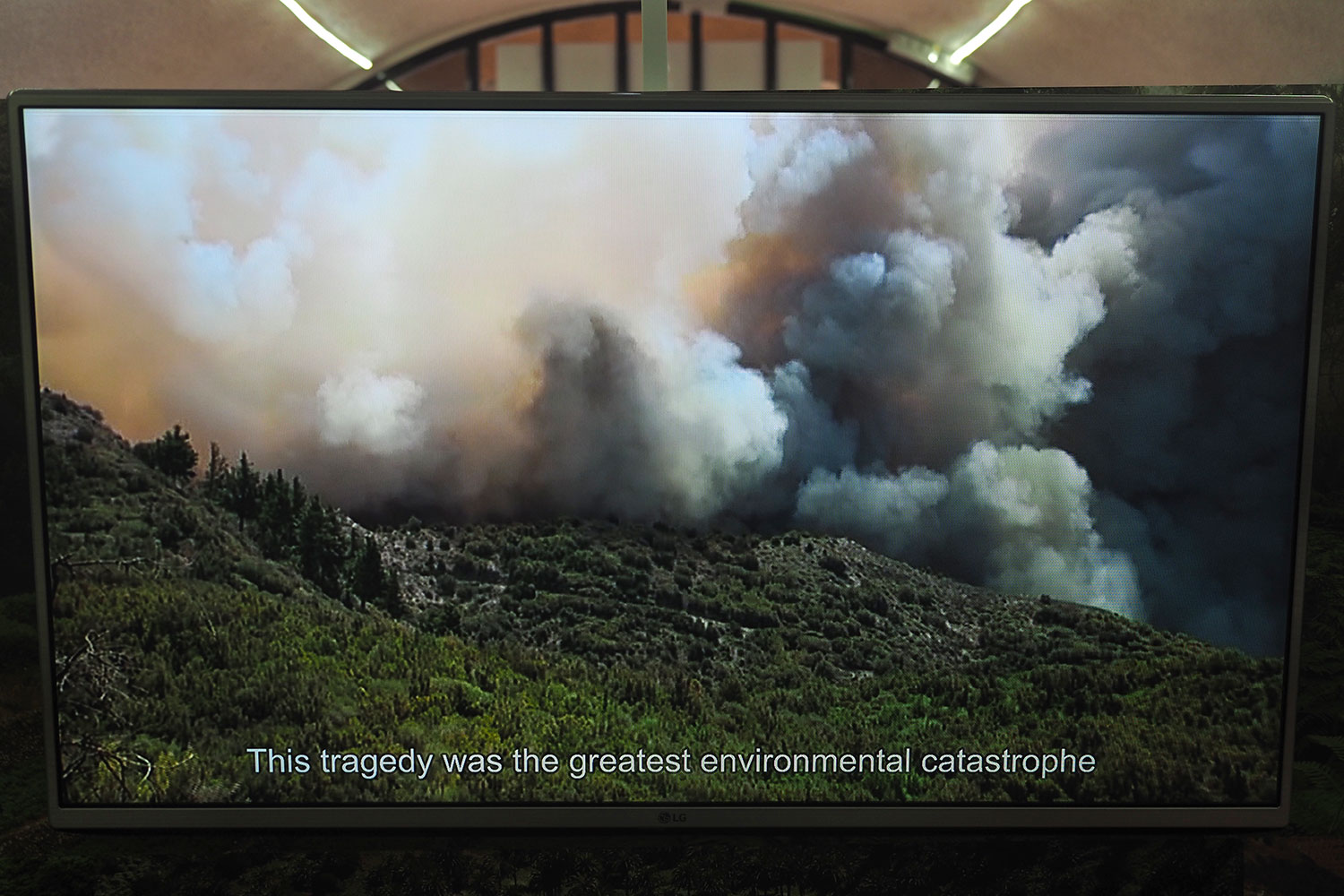 Garajonay-Besucherzentrum Juego de Bolas: Video Waldbrand 2012 . La Gomera . Kanarische Inseln 2018 (Foto: Andreas Kuhrt)