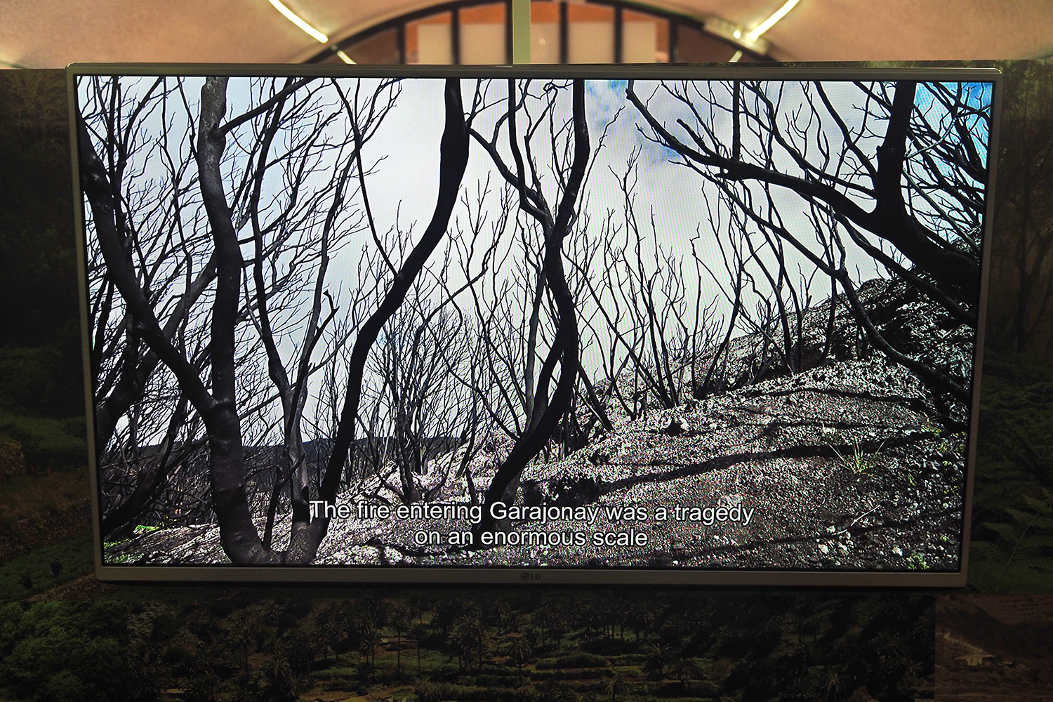 Garajonay-Besucherzentrum Juego de Bolas: Video Waldbrand 2012 . La Gomera . Kanarische Inseln 2018 (Foto: Andreas Kuhrt)
