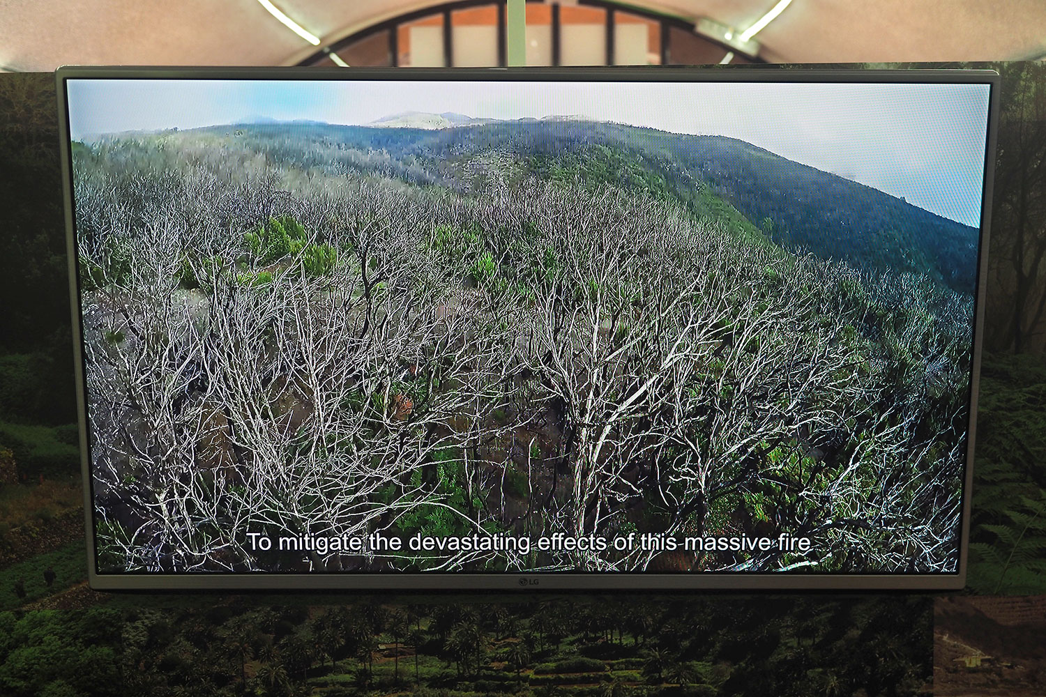 Garajonay-Besucherzentrum Juego de Bolas: Video Waldbrand 2012 . La Gomera . Kanarische Inseln 2018 (Foto: Andreas Kuhrt)