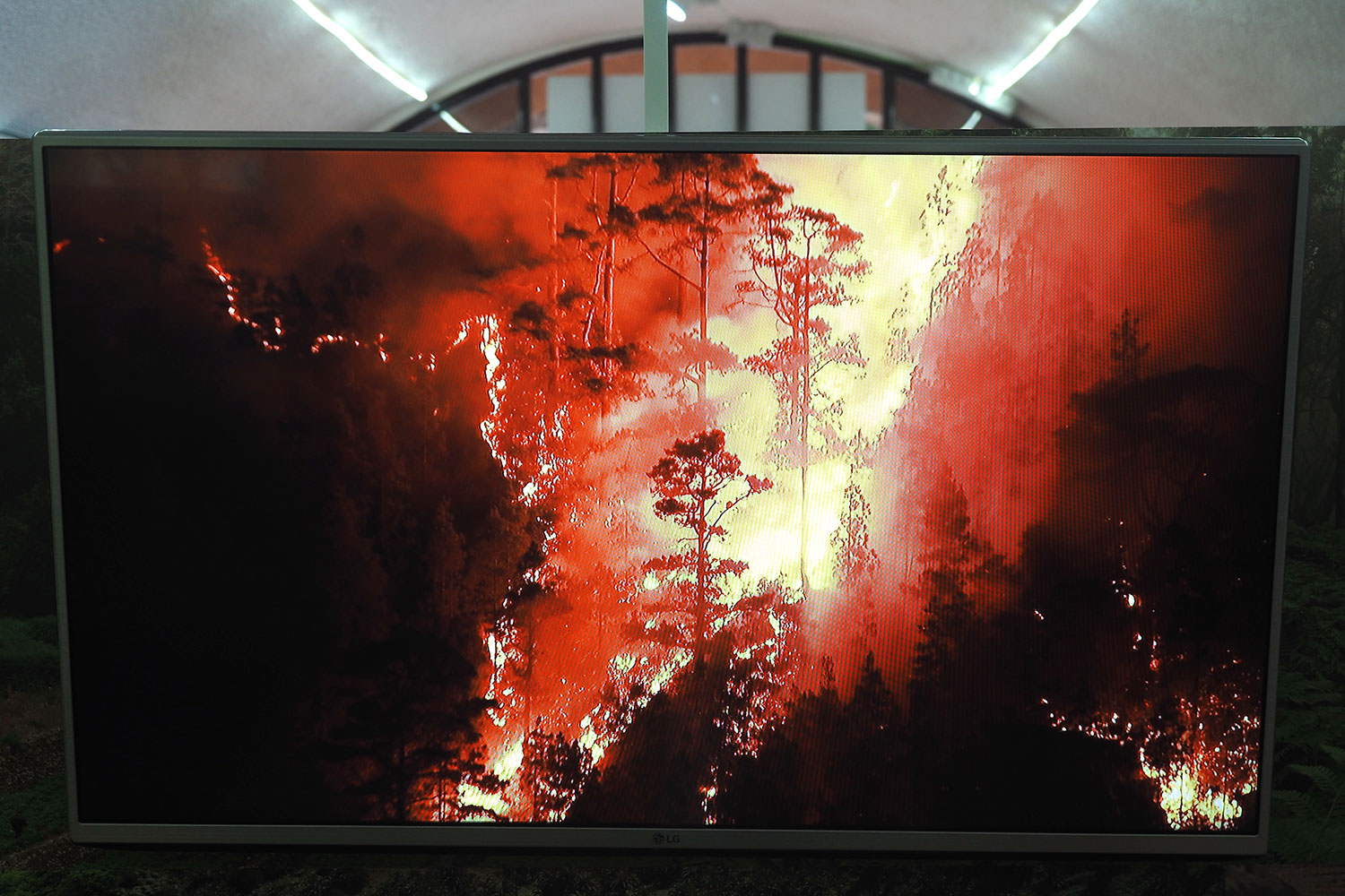 Garajonay-Besucherzentrum Juego de Bolas: Video Waldbrand 2012 . La Gomera . Kanarische Inseln 2018 (Foto: Andreas Kuhrt)