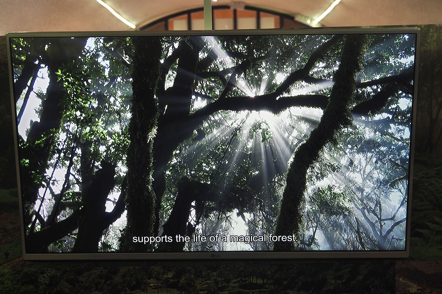 Garajonay-Besucherzentrum Juego de Bolas: Video Waldbrand 2012 . La Gomera . Kanarische Inseln 2018 (Foto: Andreas Kuhrt)
