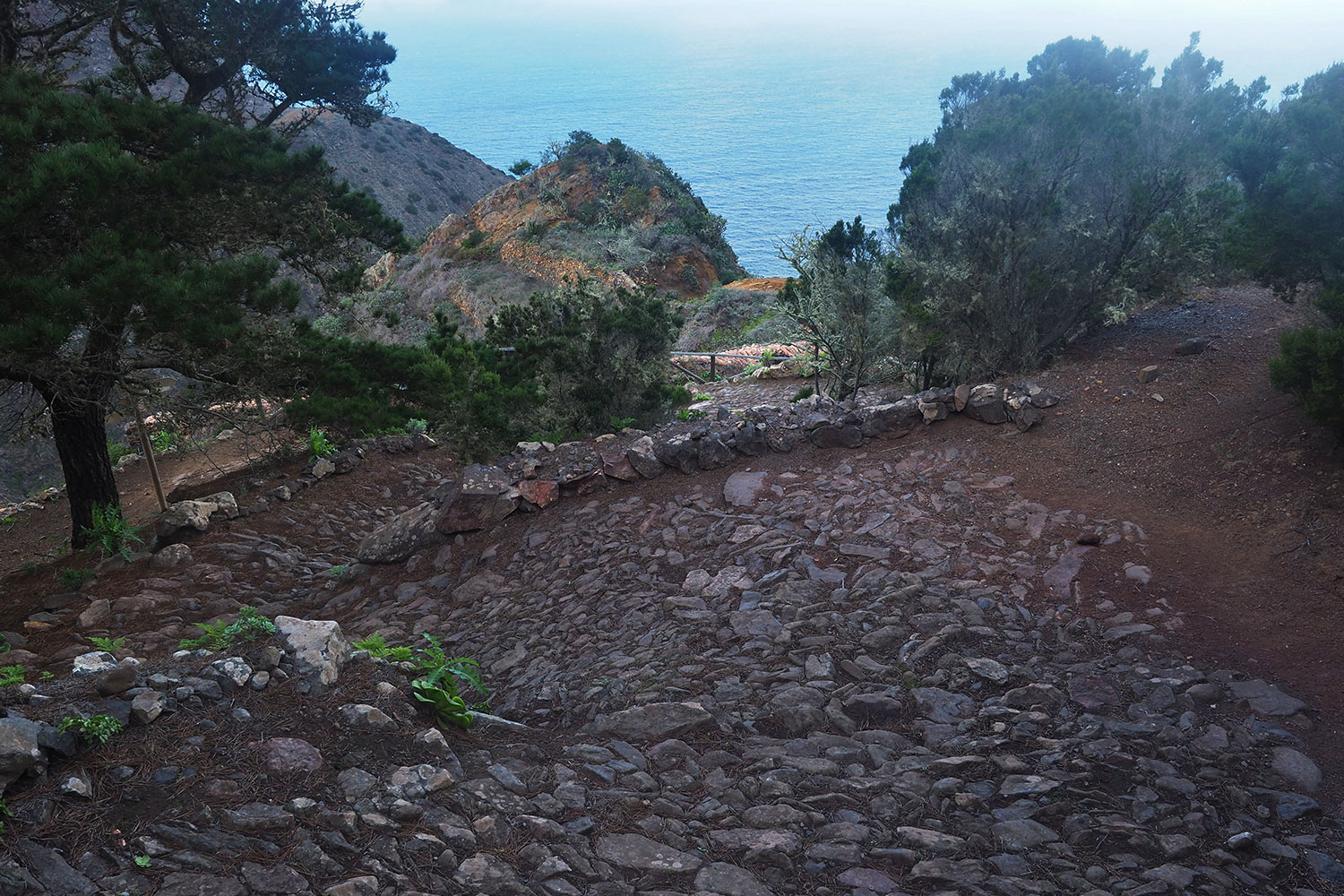 Camino de el Roquillo . La Gomera . Kanarische Inseln 2018 (Foto: Andreas Kuhrt)