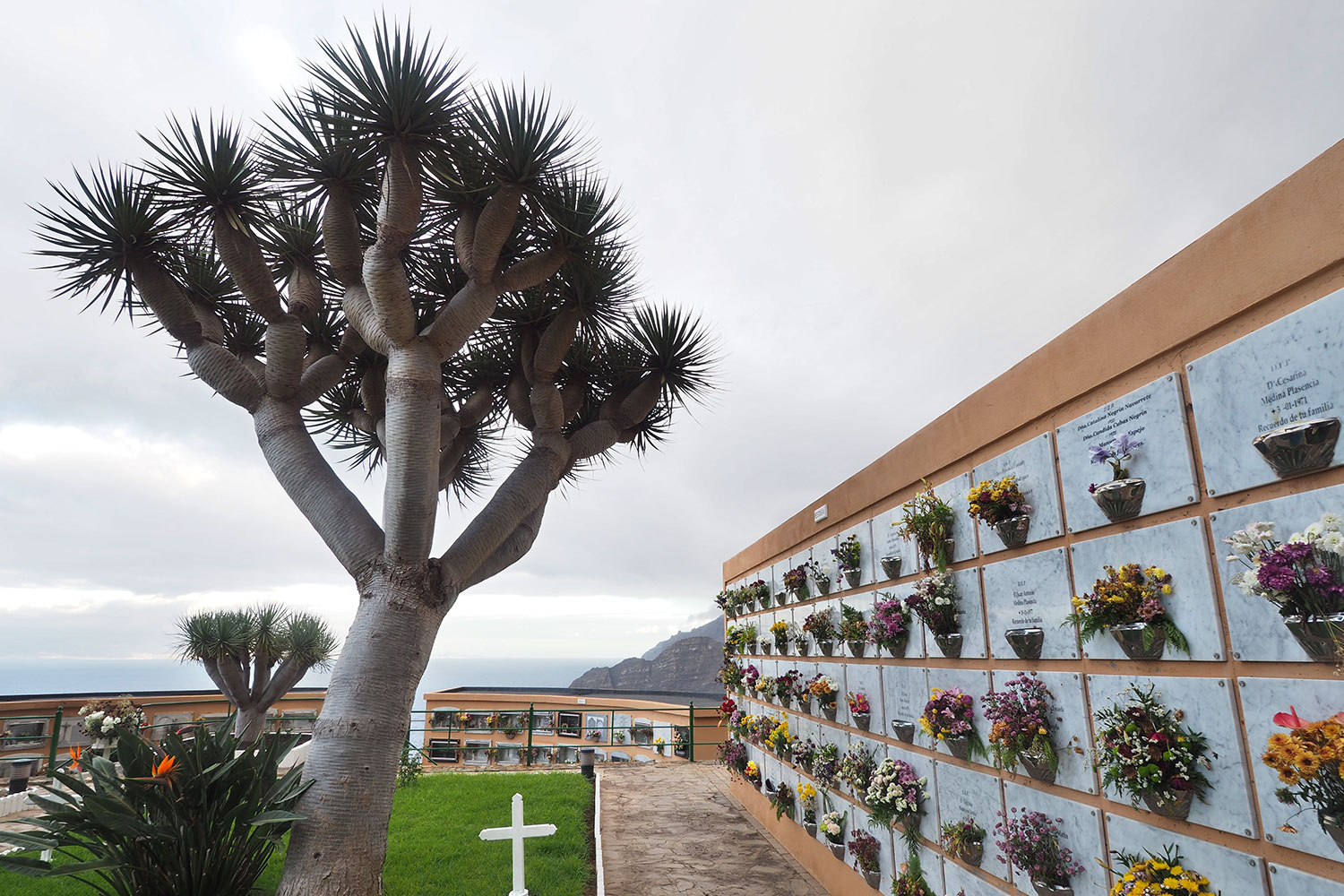 Friedhof von Agulo . La Gomera . Kanarische Inseln 2018 (Foto: Andreas Kuhrt)