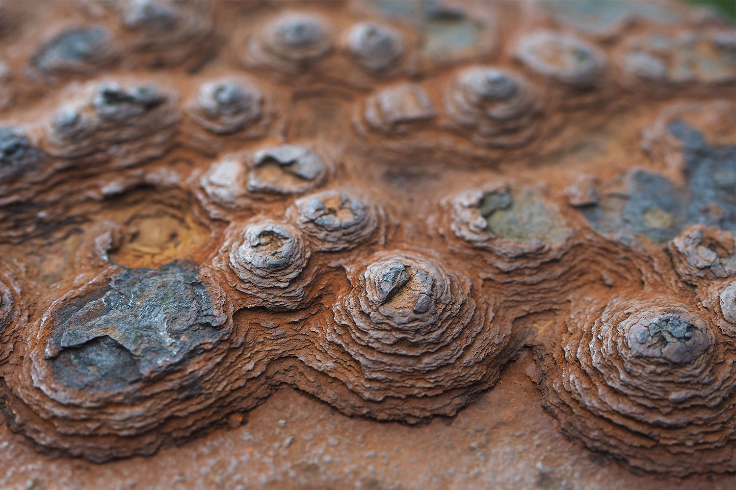 Mirador de Vallehermoso: Rost am Geländer . La Gomera . Kanarische Inseln 2018 (Foto: Andreas Kuhrt)