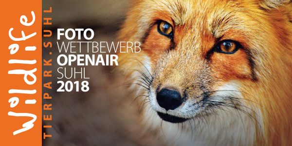 Flyer zum Fotowettbewerb Wildlife - Tierpark Suhl . Foto Openair Suhl 2018 (Grafikdesign: Andreas Kuhrt)