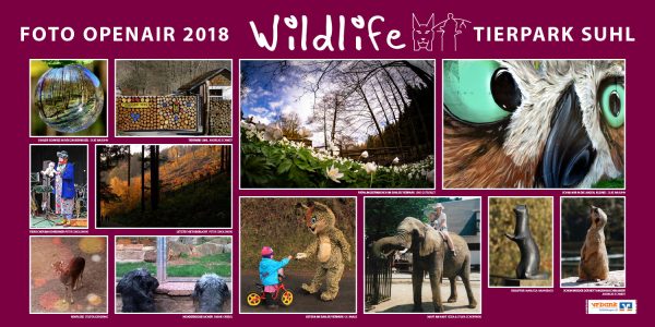 Tierpark . Foto Openair "Wildlife - Tierpark Suhl" 2018 (Fotos: Jens Gutberlet, Manuela Hahnebach, Uli Knabe, Silke Maruhn, Sylvia Scherpinski, Andreas Schmidt, Peter Sokolowski, Stadtjugendring Suhl)