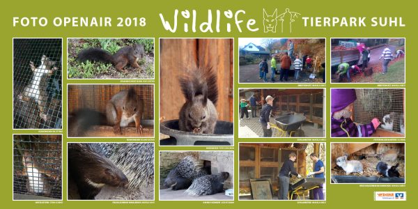 Eichhörnchen, Stachelschweine, Kaninchen . Foto Openair "Wildlife - Tierpark Suhl" 2018 (Fotos: Ina Dittmar, Heidi Günther, Manuela Habelt, Roland Kastner, Uli Knabe, Andreas Kuhrt, Gerd Ritzmann, Stefan Schenke)