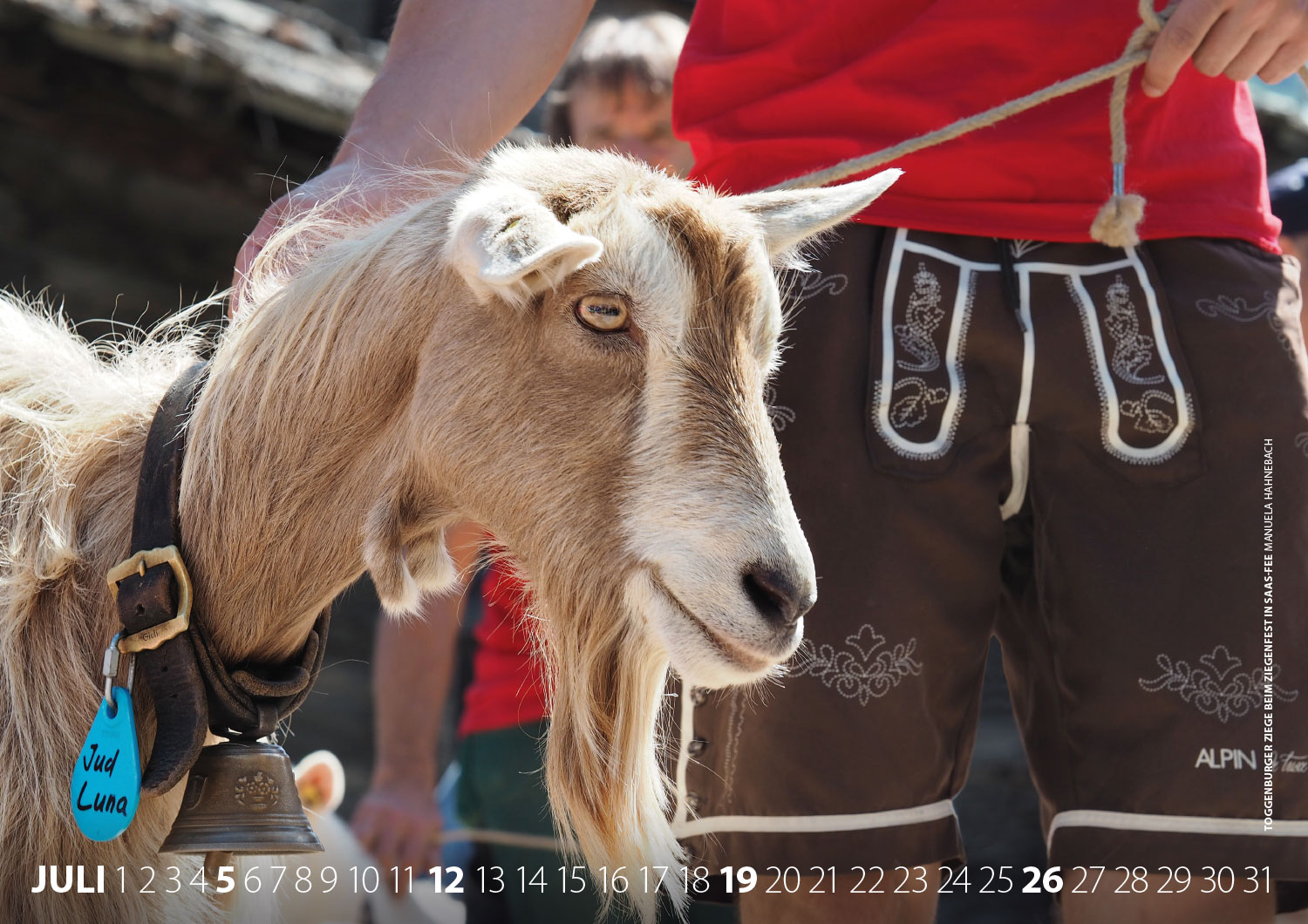 Kalender Fotografie Schweiz 2020: Toggenburger Ziege beim Ziegenfest in Saas-Fee (Foto: Manuela Hahnebach 2019)