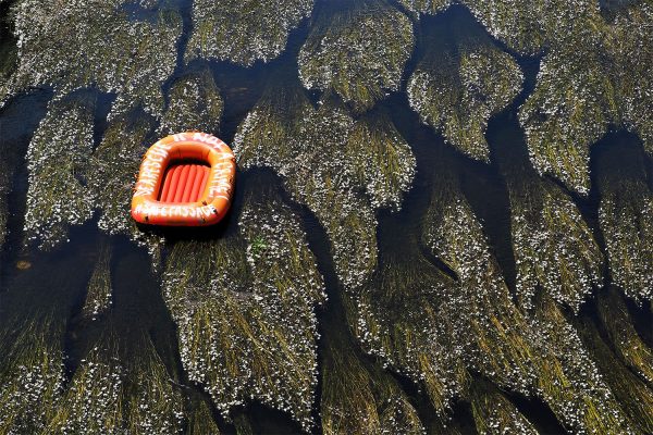 Rudolstadt-Festival 2019: Schlauchbootaktion #SafePassage (Foto: Manuela Hahnebach)