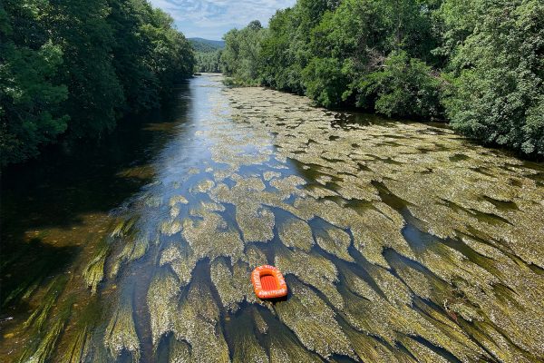 Rudolstadt-Festival 2019: Schlauchbootaktion #SafePassage (Foto: Manuela Hahnebach)