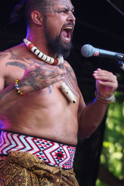 Rudolstadt-Festival 2019: Small Island Big Song: Jerome Kavanagh (Foto: Andreas Kuhrt)