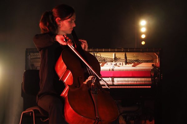 Rudolstadt-Festival 2019: Johanna Niederbacher (Foto: Andreas Kuhrt)