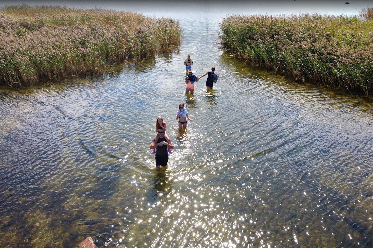 2022 Estland: Saaremaa: Vilsandi NP: Käkisilma Wanderweg (Foto: Vladislav MW, Google Maps)