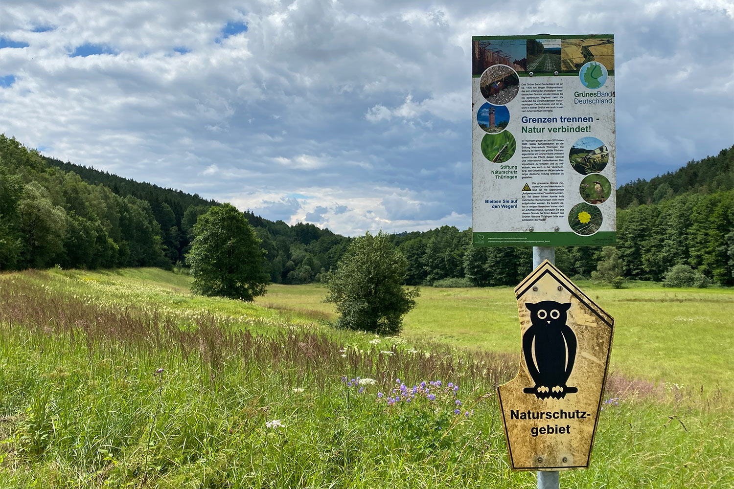 2020 Grünes Band: Naturschutzgebiet Effeldertal (Foto: Manuela Hahnebach)
