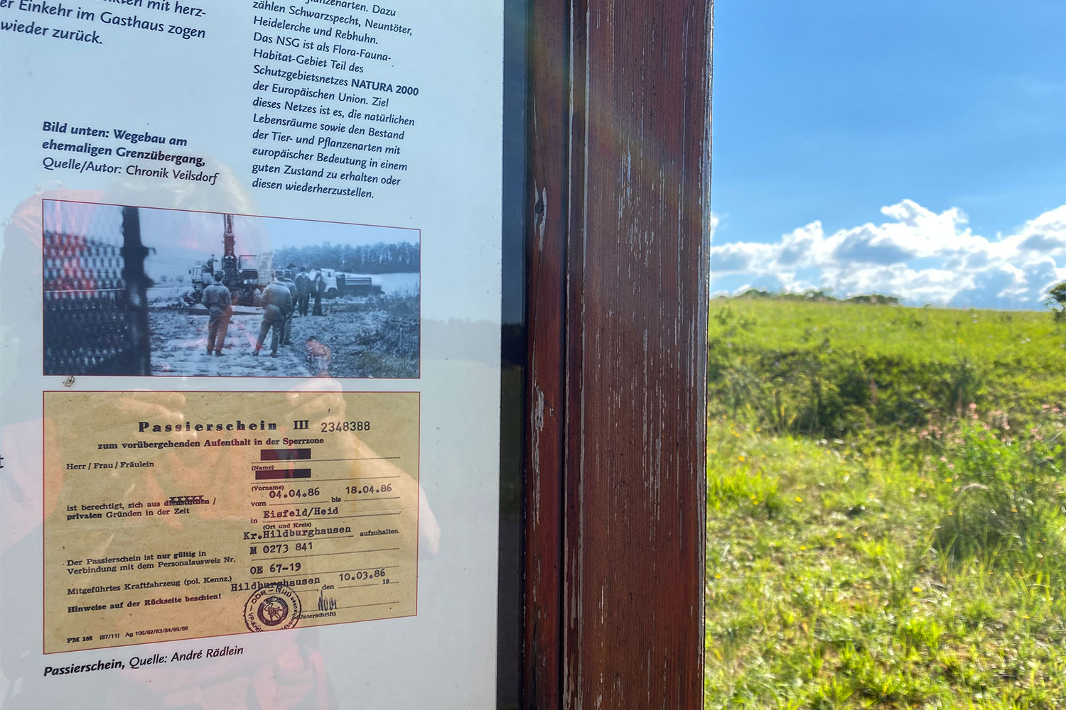 2020 Grünes Band: Ehemalige Grenze bei Harras (Foto: Manuela Hahnebach)