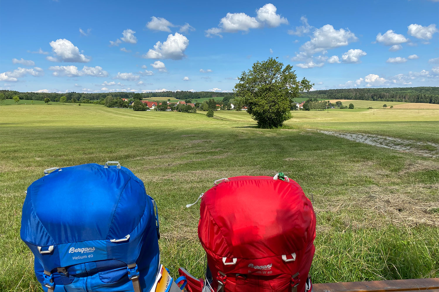 2020 Grünes Band: Bei Hetschbach (Foto: Manuela Hahnebach)