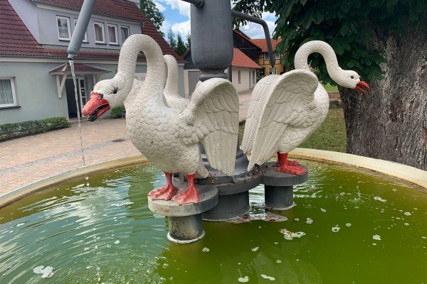 2020 Grünes Band: Dorfbrunnen in Steinfeld (Foto: Andreas Kuhrt)