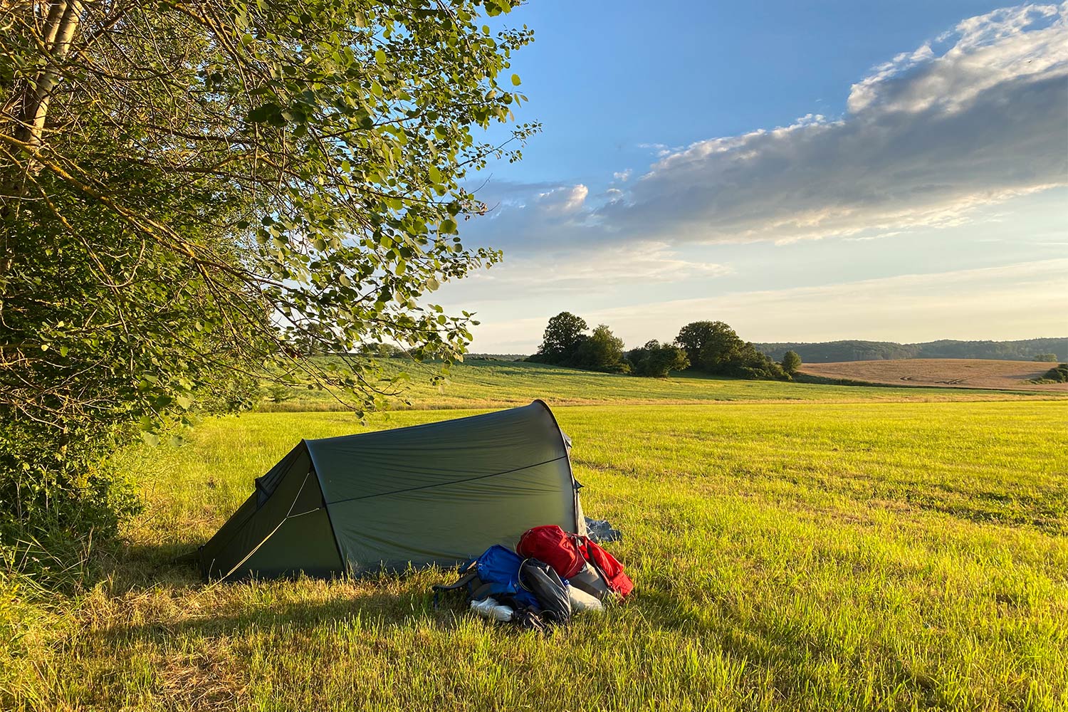 2020 Grünes Band: Am Straufhain (Foto: Manuela Hahnebach)