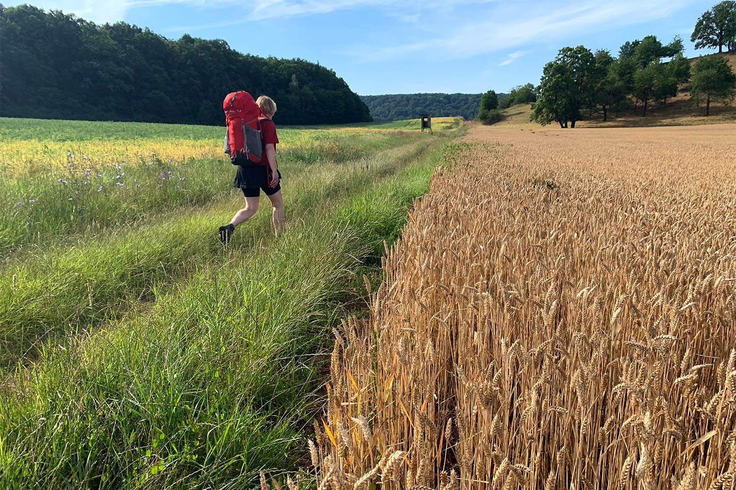 2020 Grünes Band: Am Straufhain (Foto: Andreas Kuhrt)
